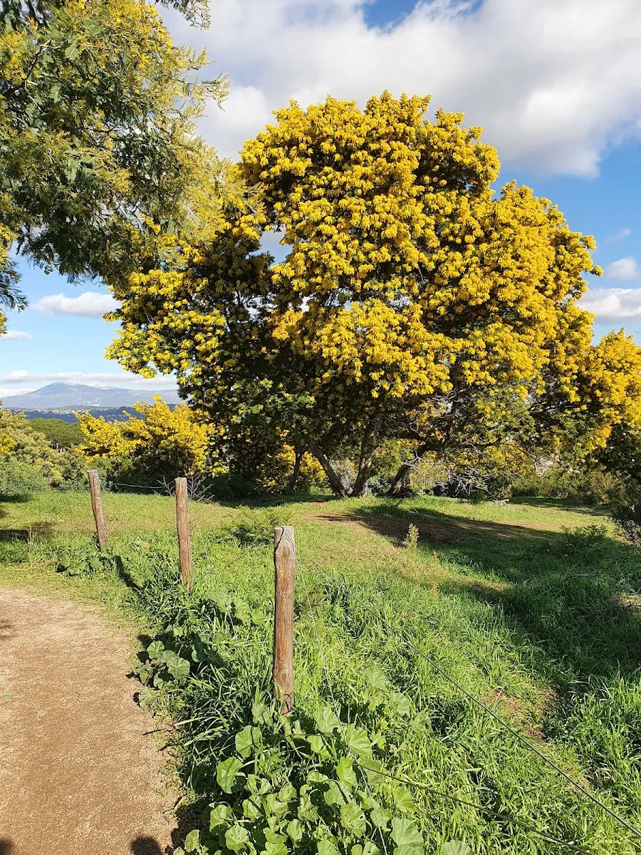 Parcours De Santé De la Croix Des Gardes