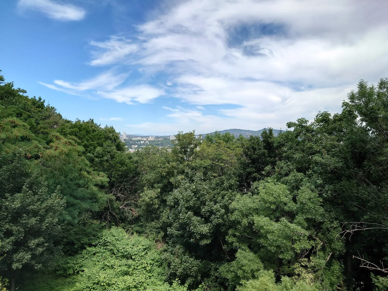 Passerelle des Quatre Vents