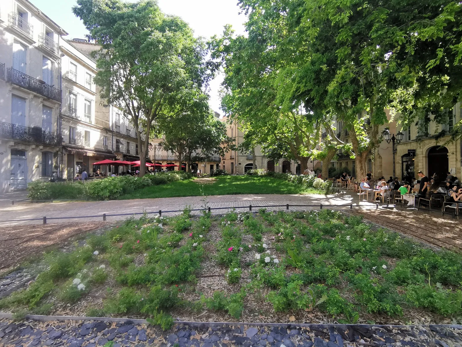 Place De la Canourgue — photo 1