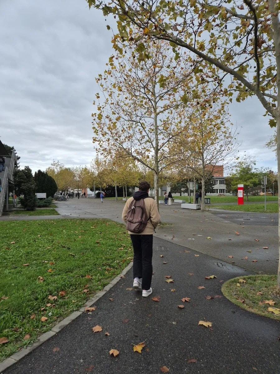 Place Saint Pigeon — photo 1