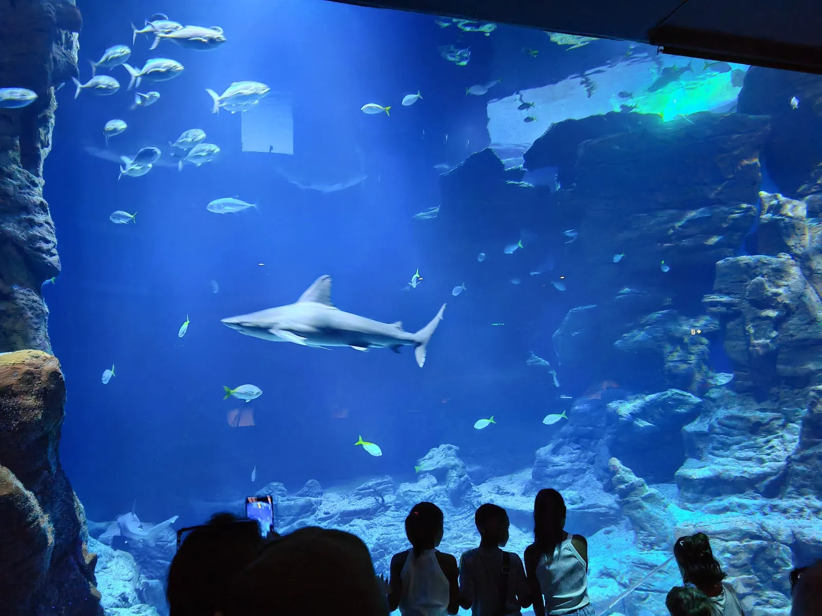 Planet Ocean Montpellier