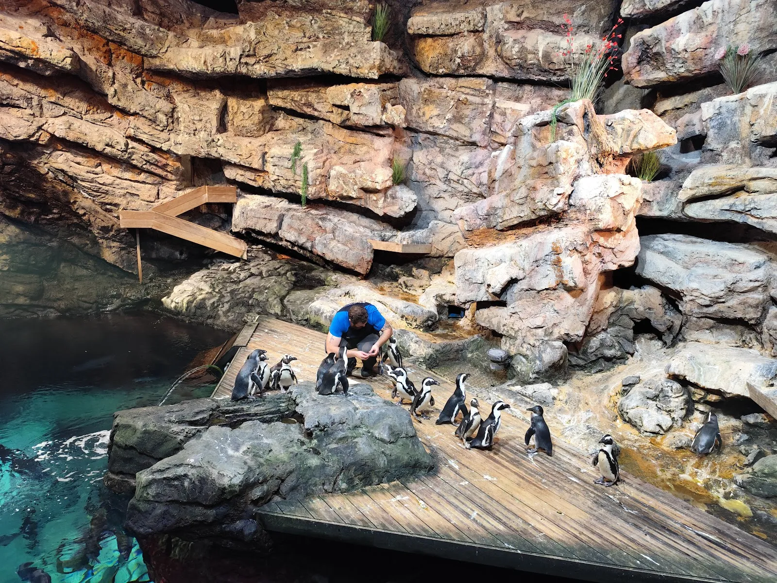 Planet Ocean Montpellier