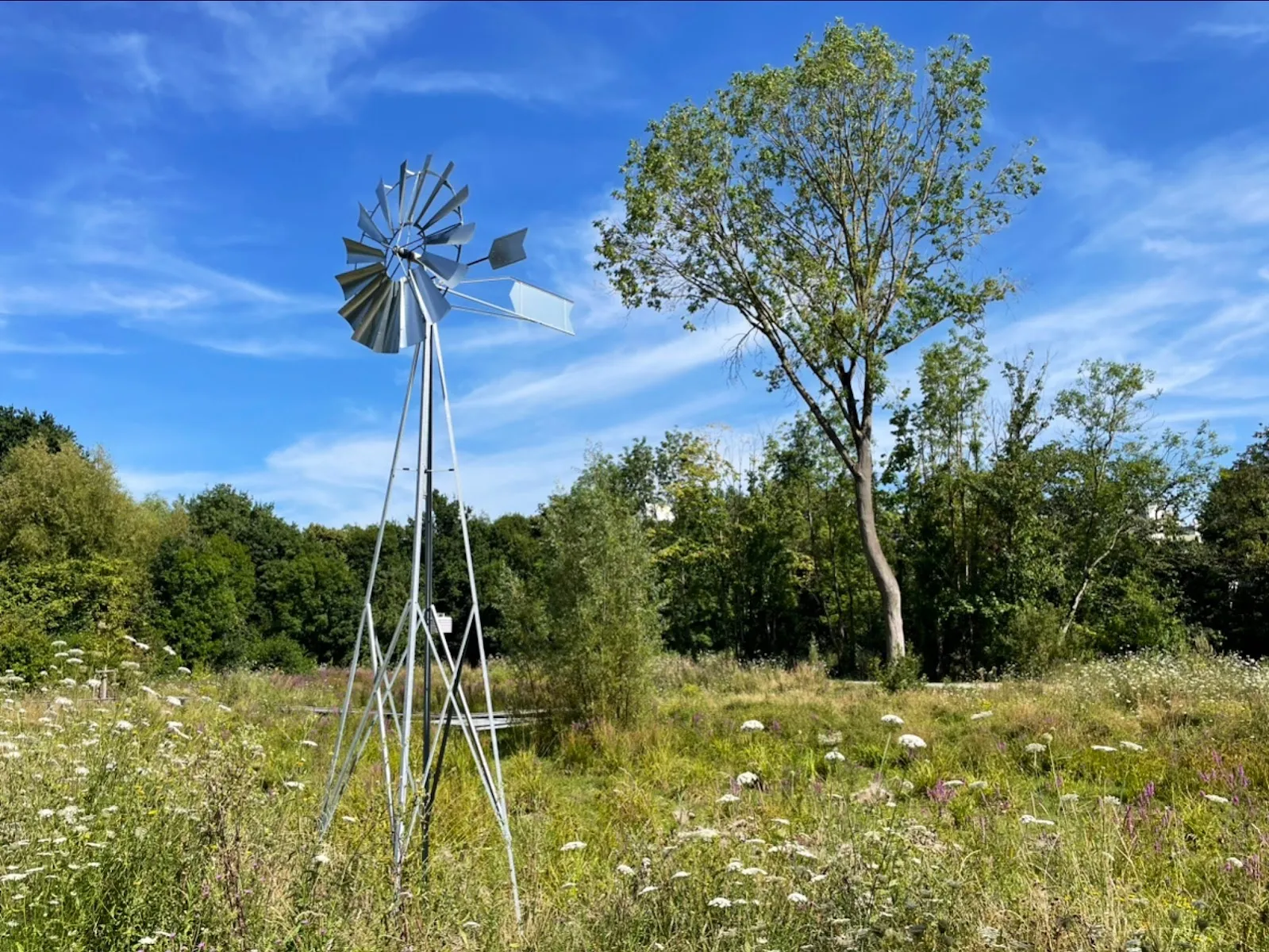 Prairies Saint-Martin