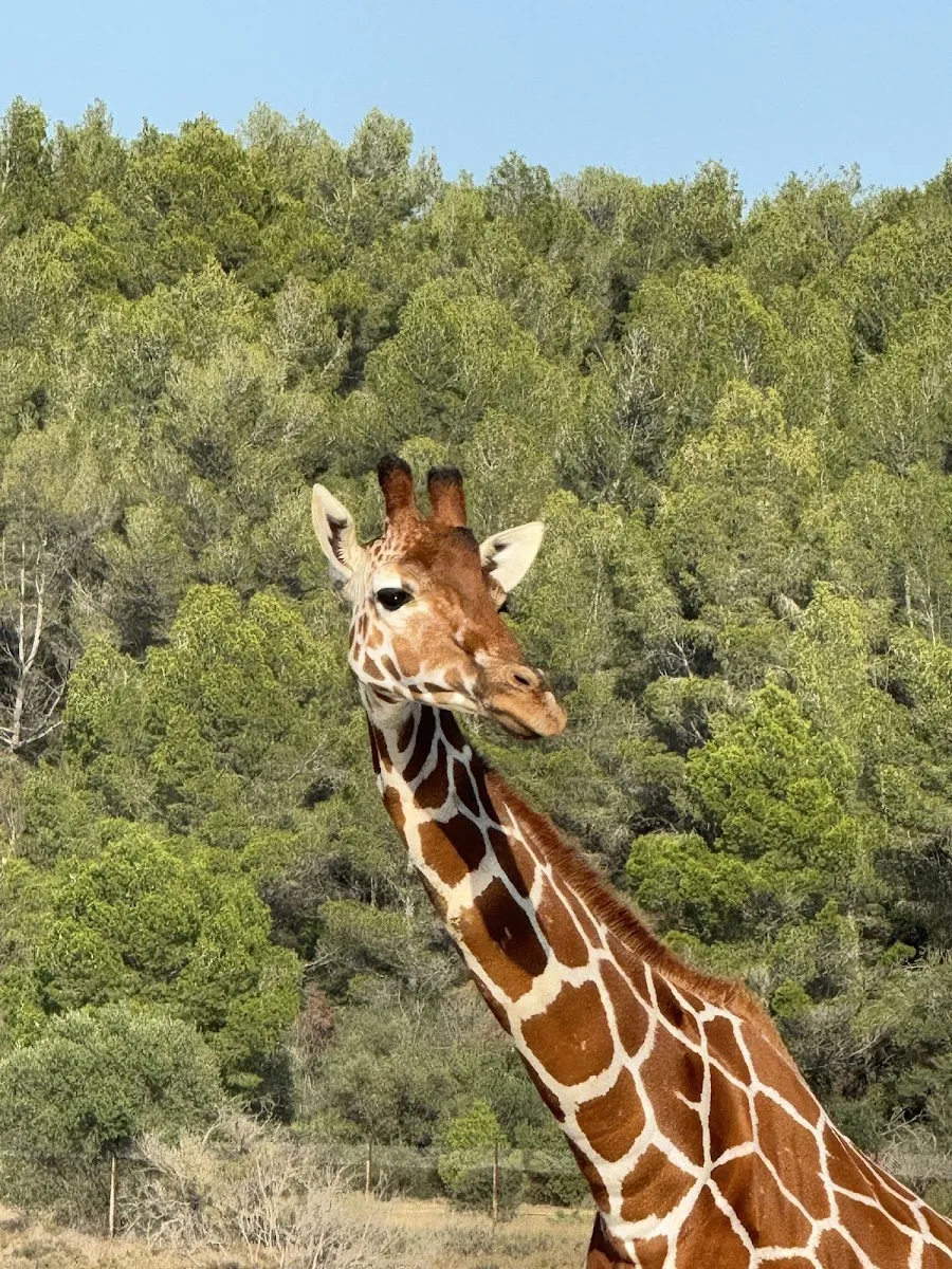 Réserve Africaine De Sigean
