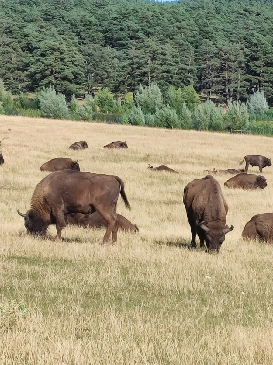 Réserve Des Monts D'Azur