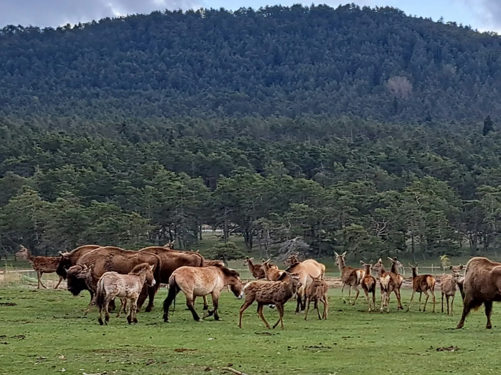 Réserve Des Monts D'Azur