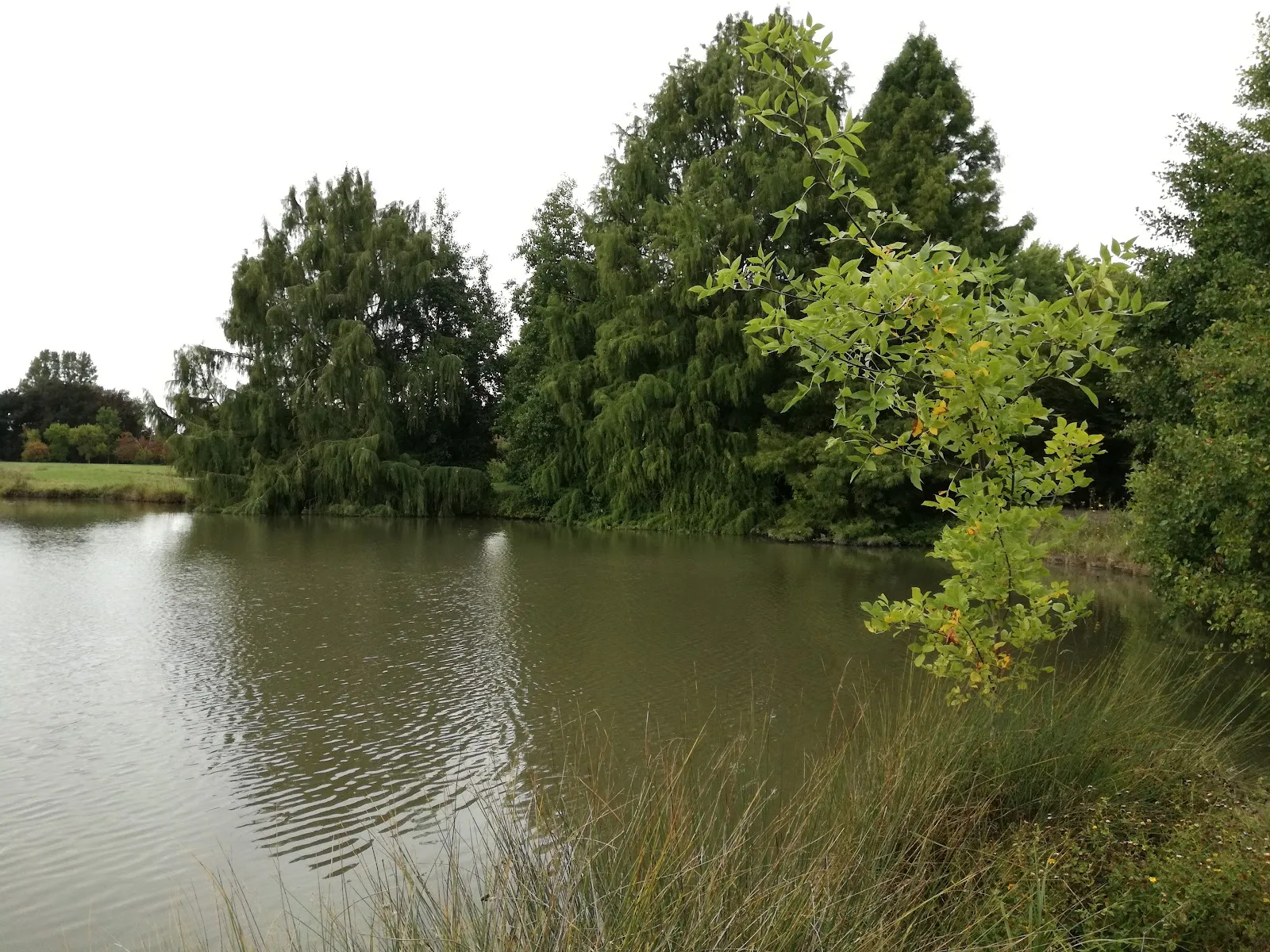 Réserve Écologique Des Barails