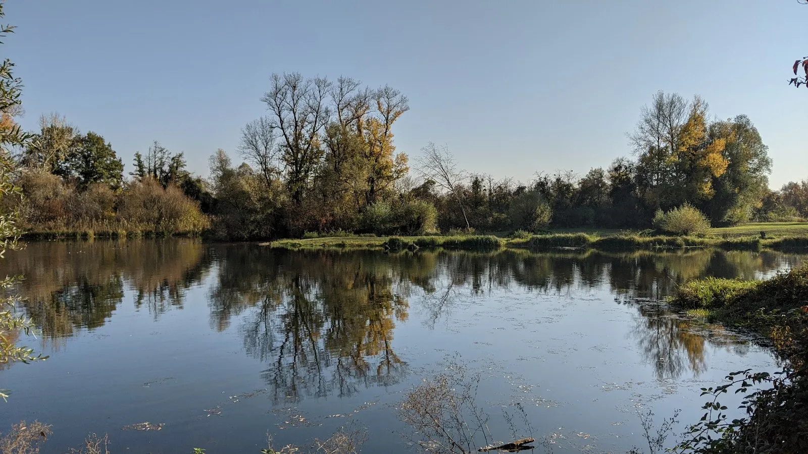Réserve Naturelle De L'Île-Du-Rohrschollen — photo 1