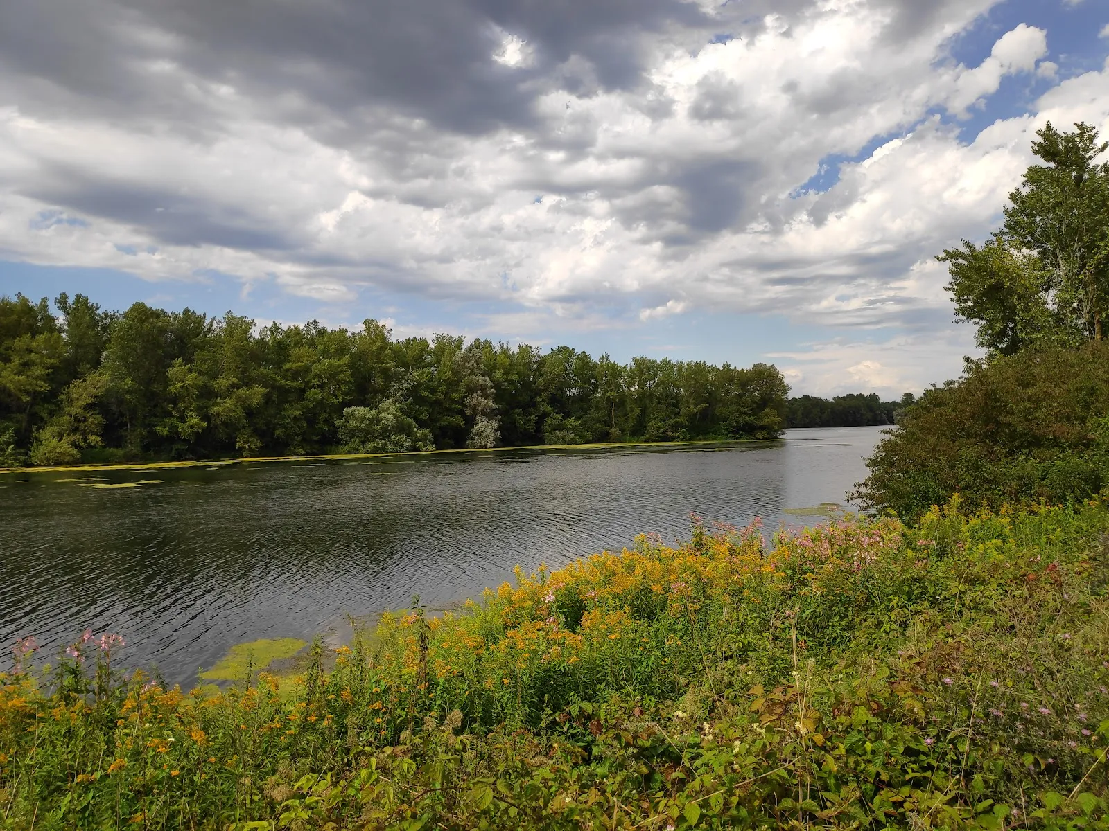 Réserve Naturelle De L'Île-Du-Rohrschollen