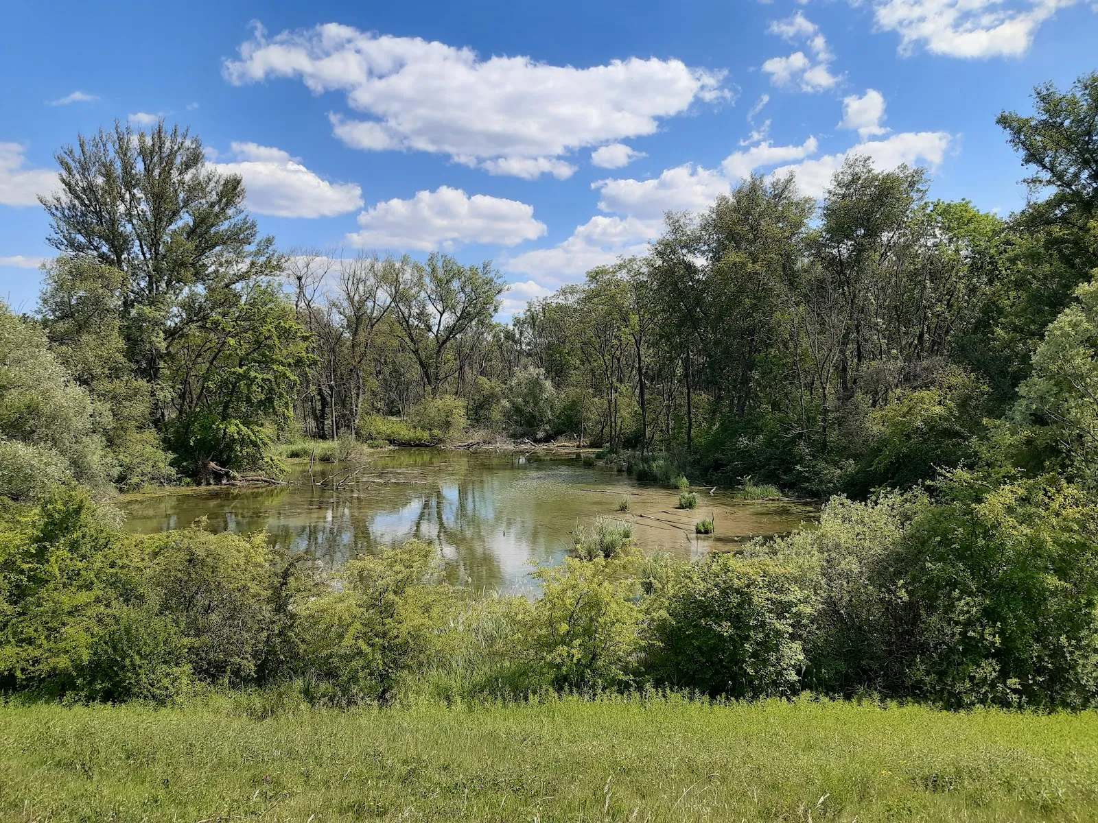 Réserve Naturelle De L'Île-Du-Rohrschollen