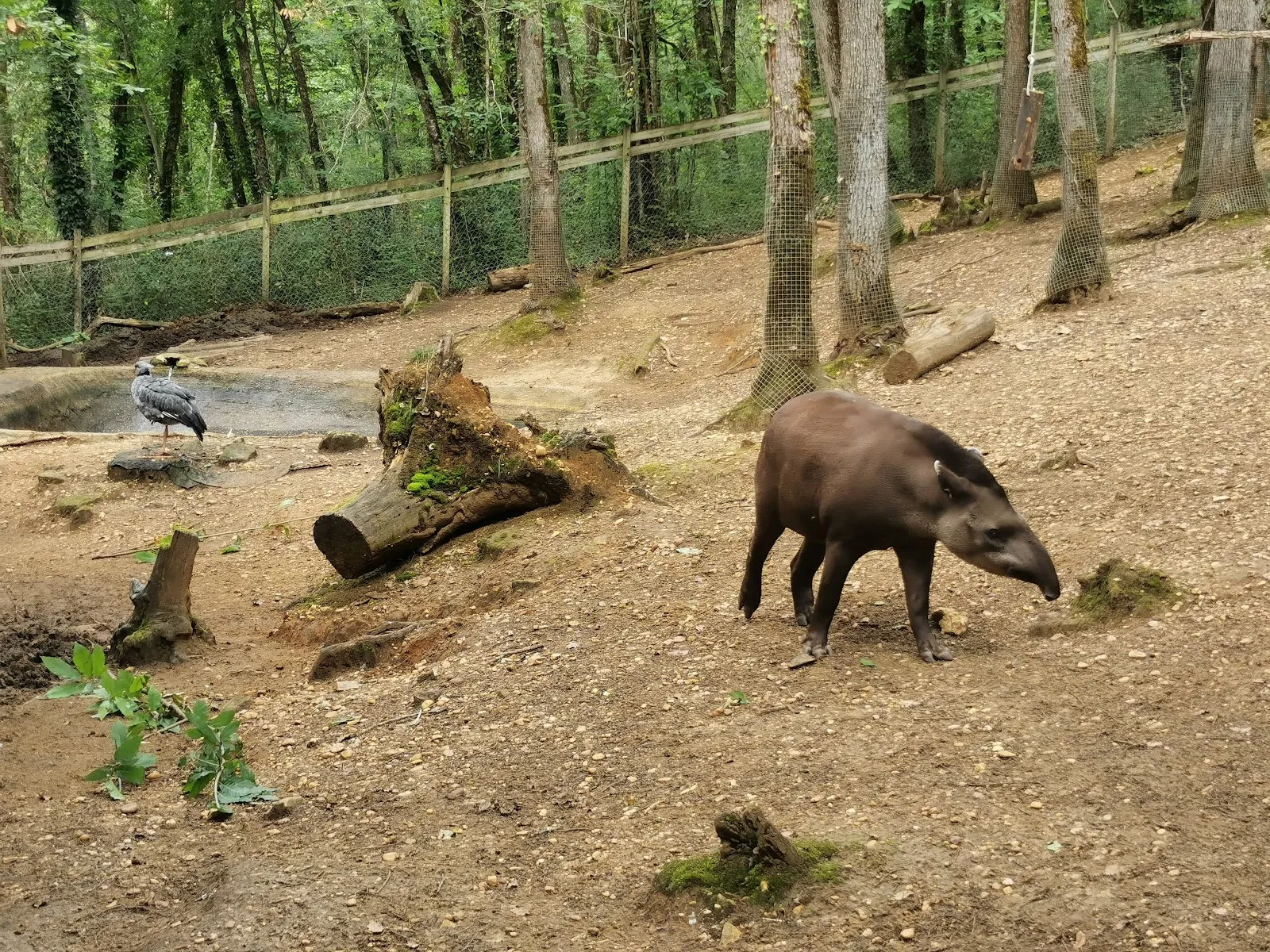 Réserve Zoologique De Calviac