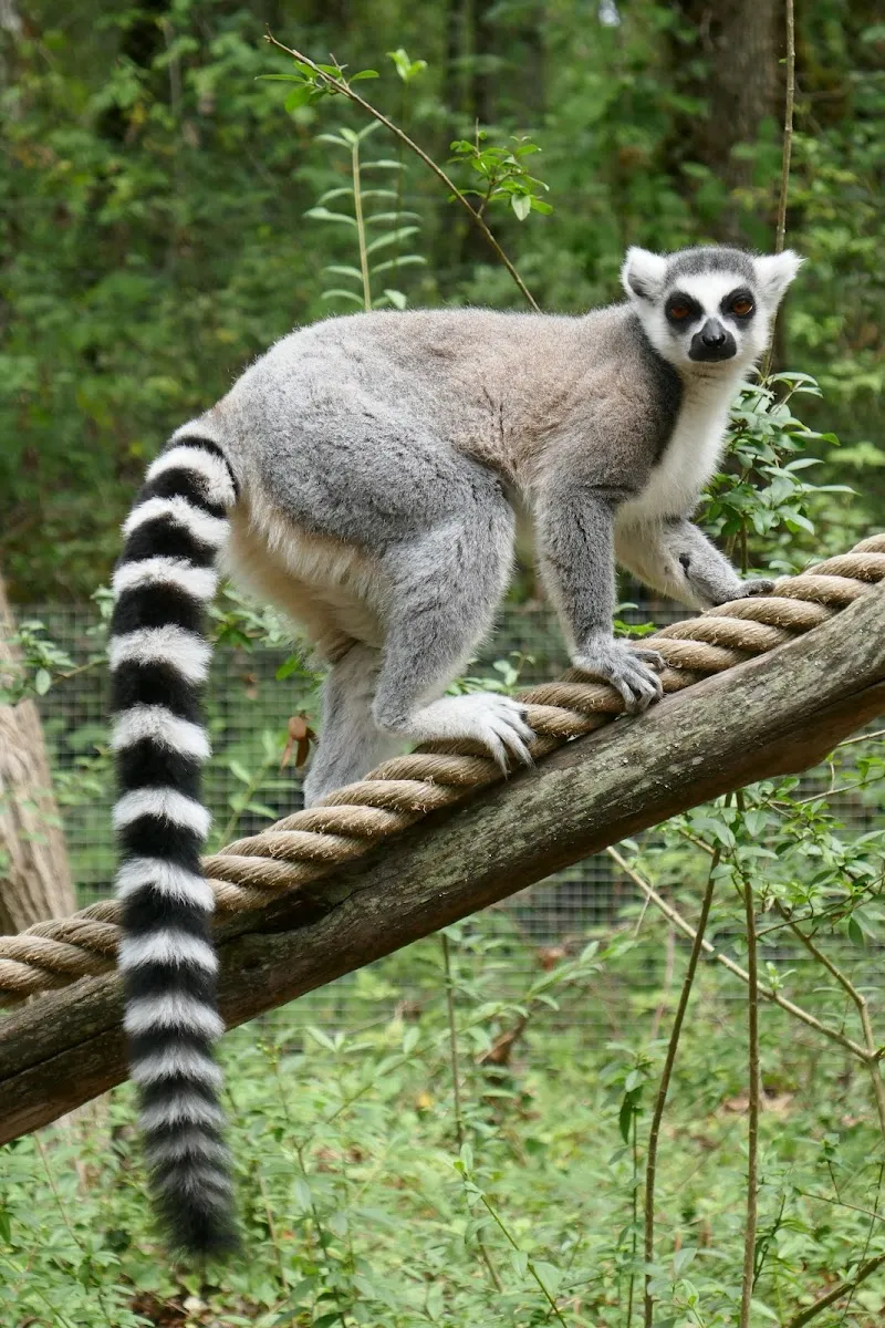 Réserve Zoologique De Calviac