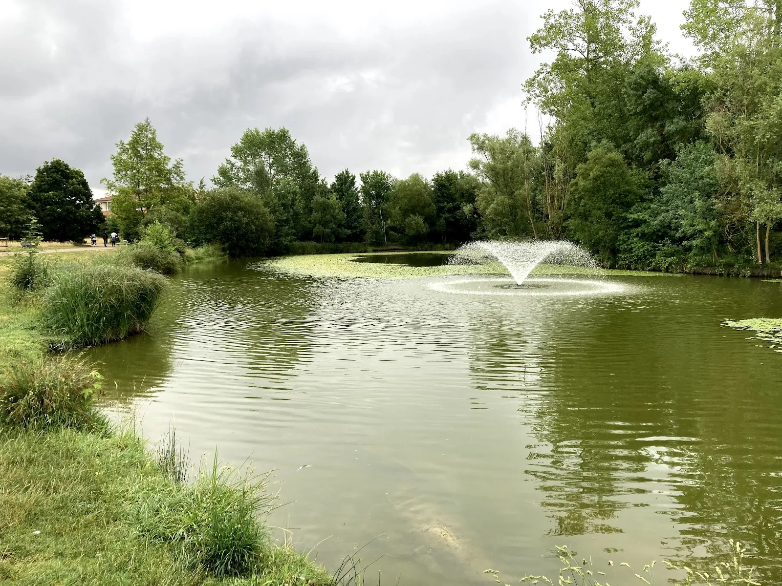 Roselière Du Muséum — photo 1