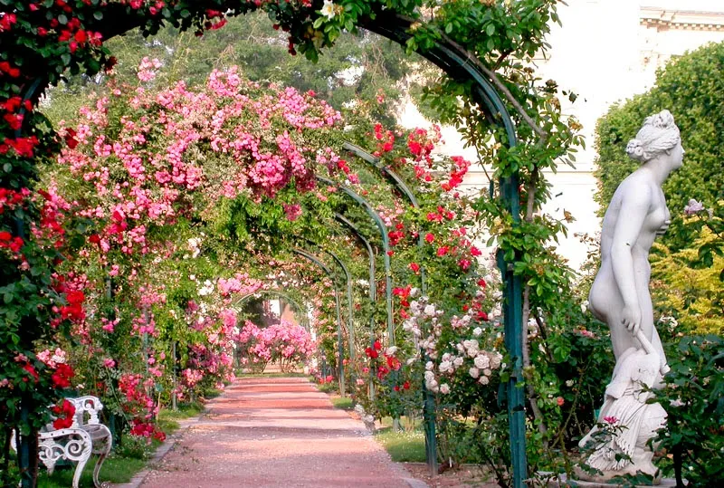 Roseraie Du Jardin Des Plantes