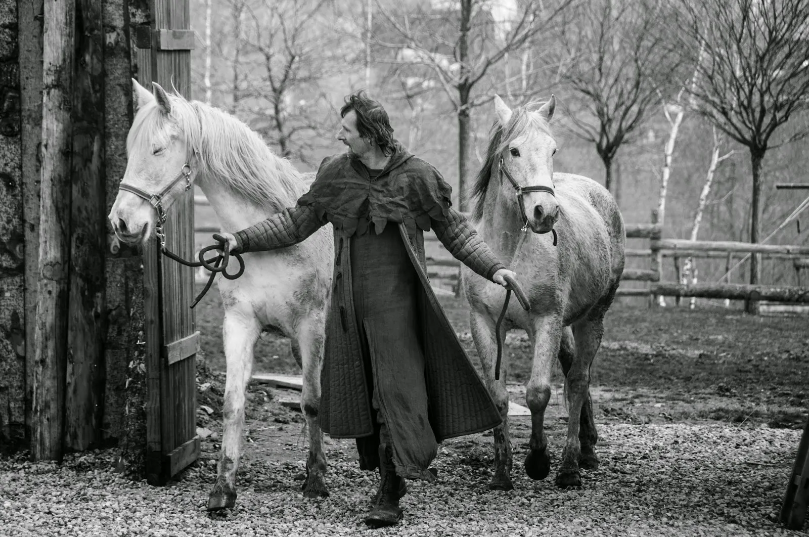 Salva Terra — photo 1