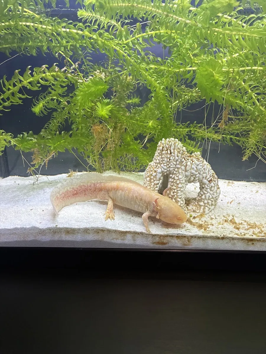 Science Experiences Bordeaux