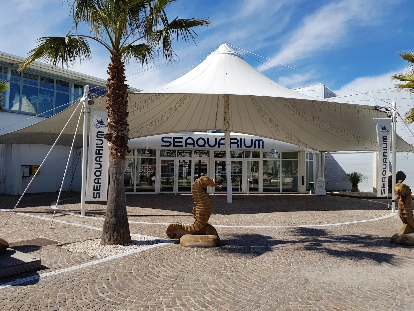 Seaquarium Du Grau-Du-Roi