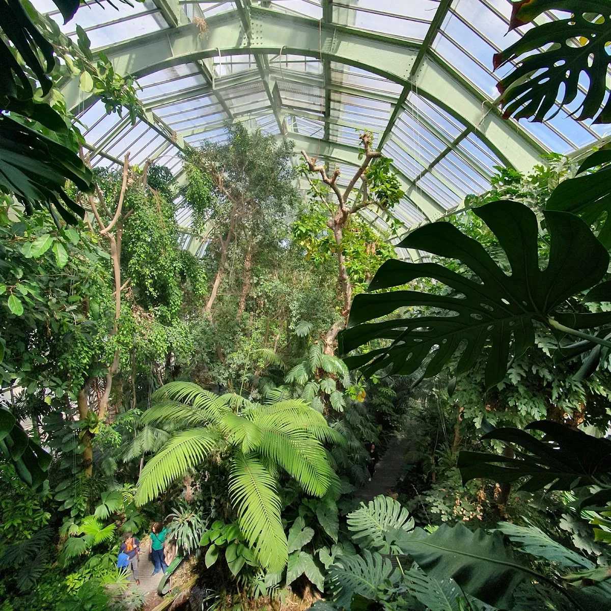 Grandes Serres du Jardin des Plantes