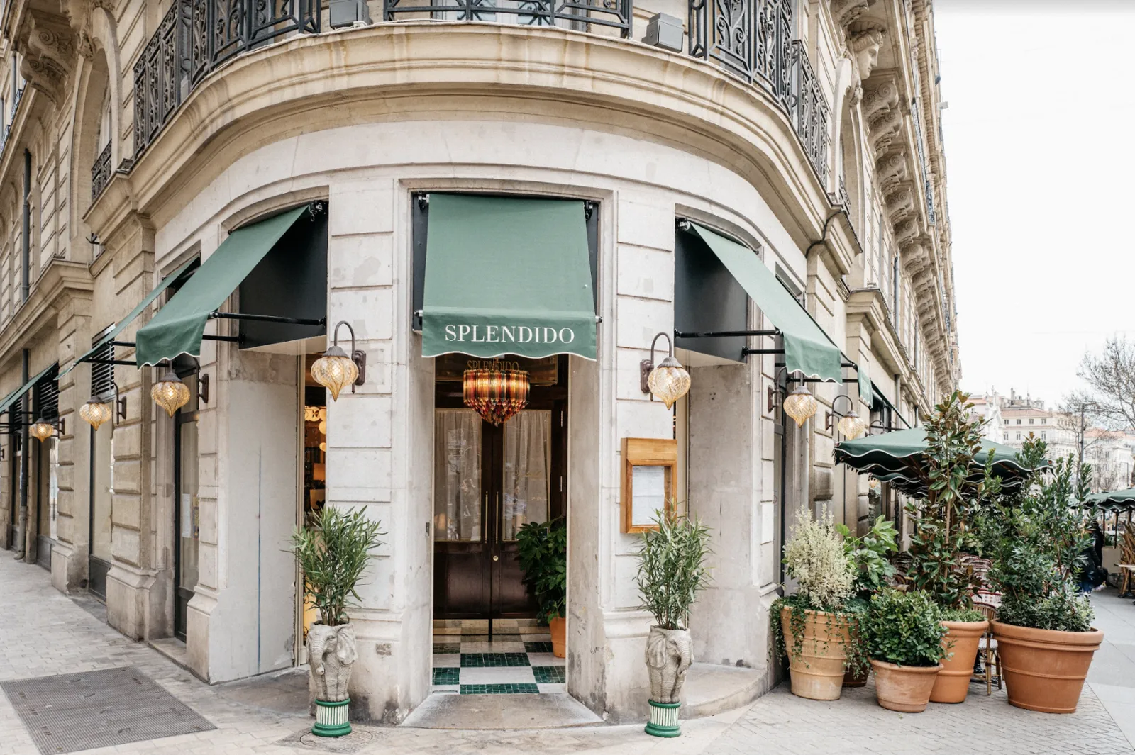 Splendido — photo 1