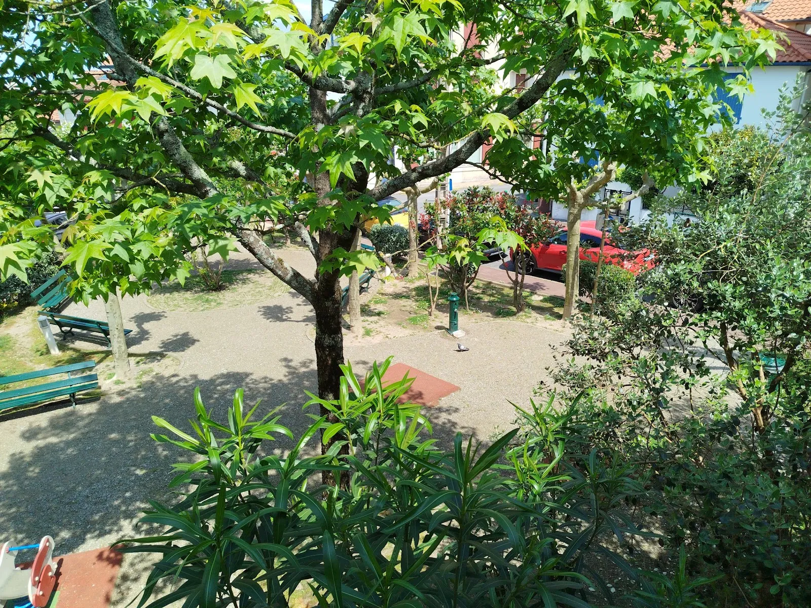 Square Pauline Carton