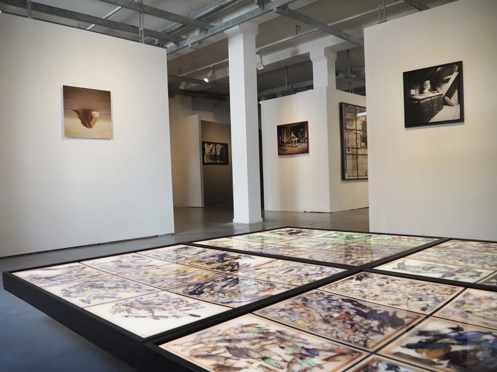 Stimultania — photo 1