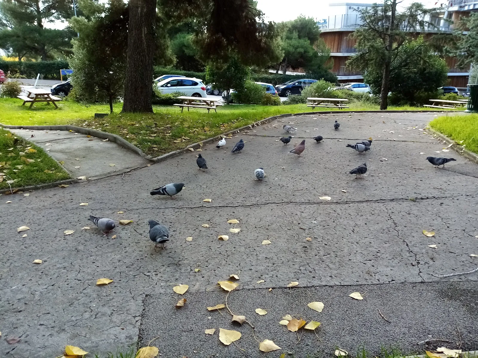 Sud Evènement — photo 1