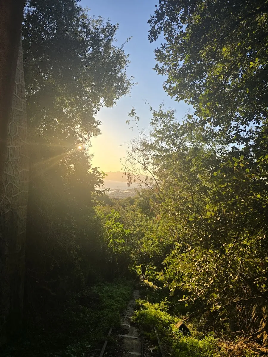 The Abandoned Funiculaire