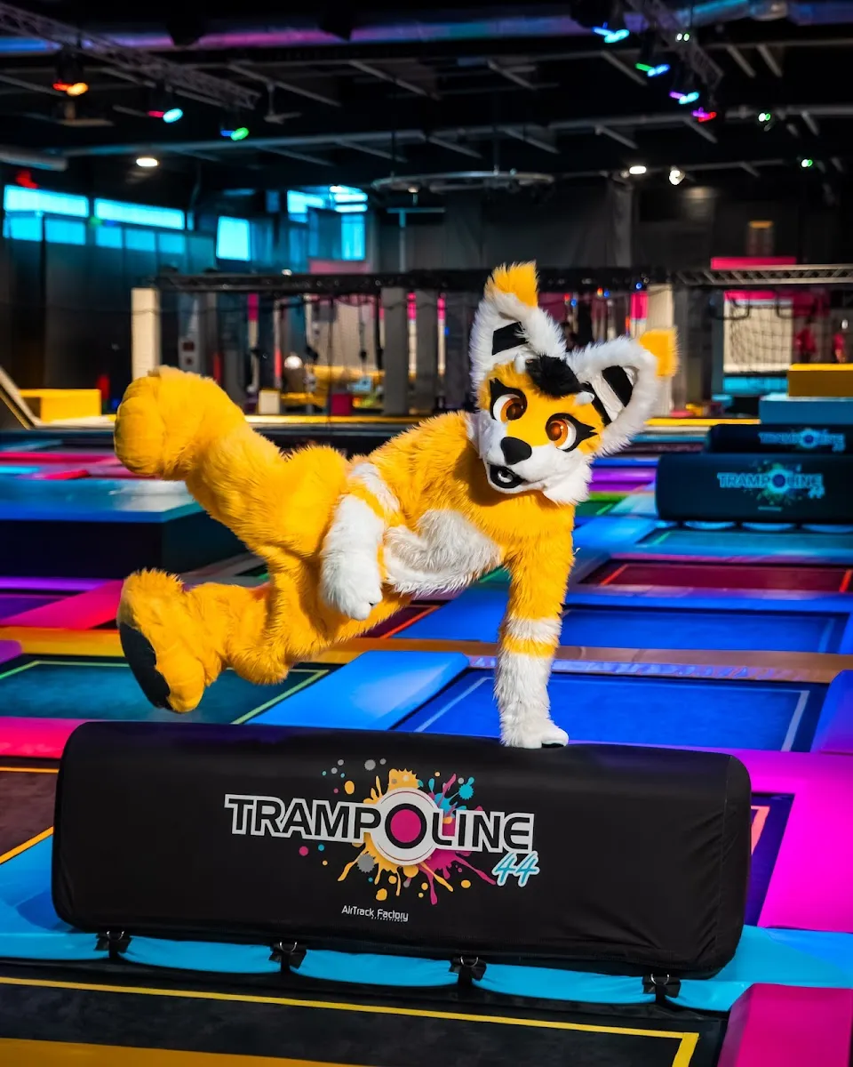 Trampoline44 Nantes Saint-Sébastien