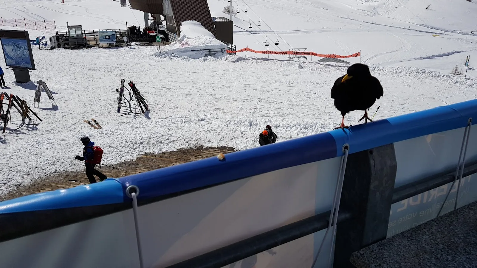 Triangle De la Herse