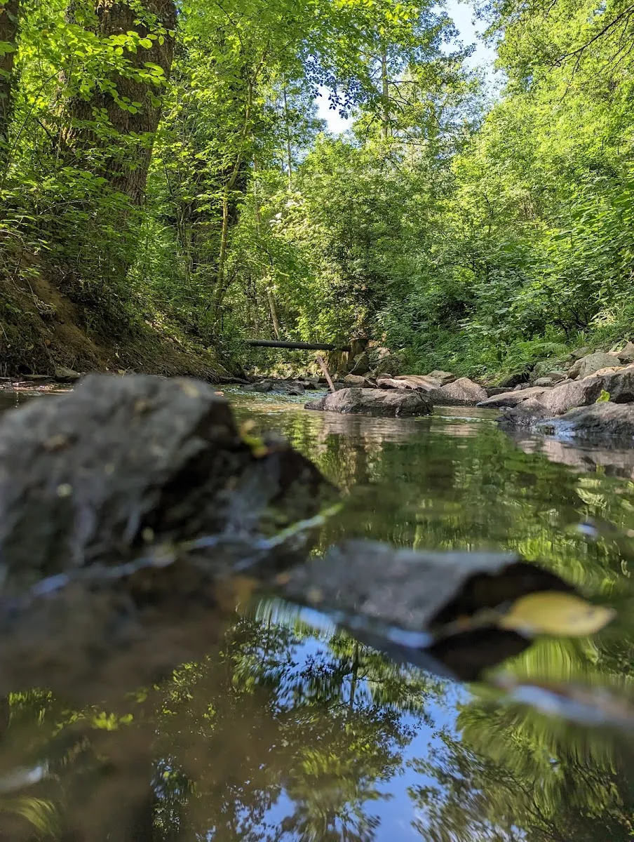 Val De la Chézine — photo 1