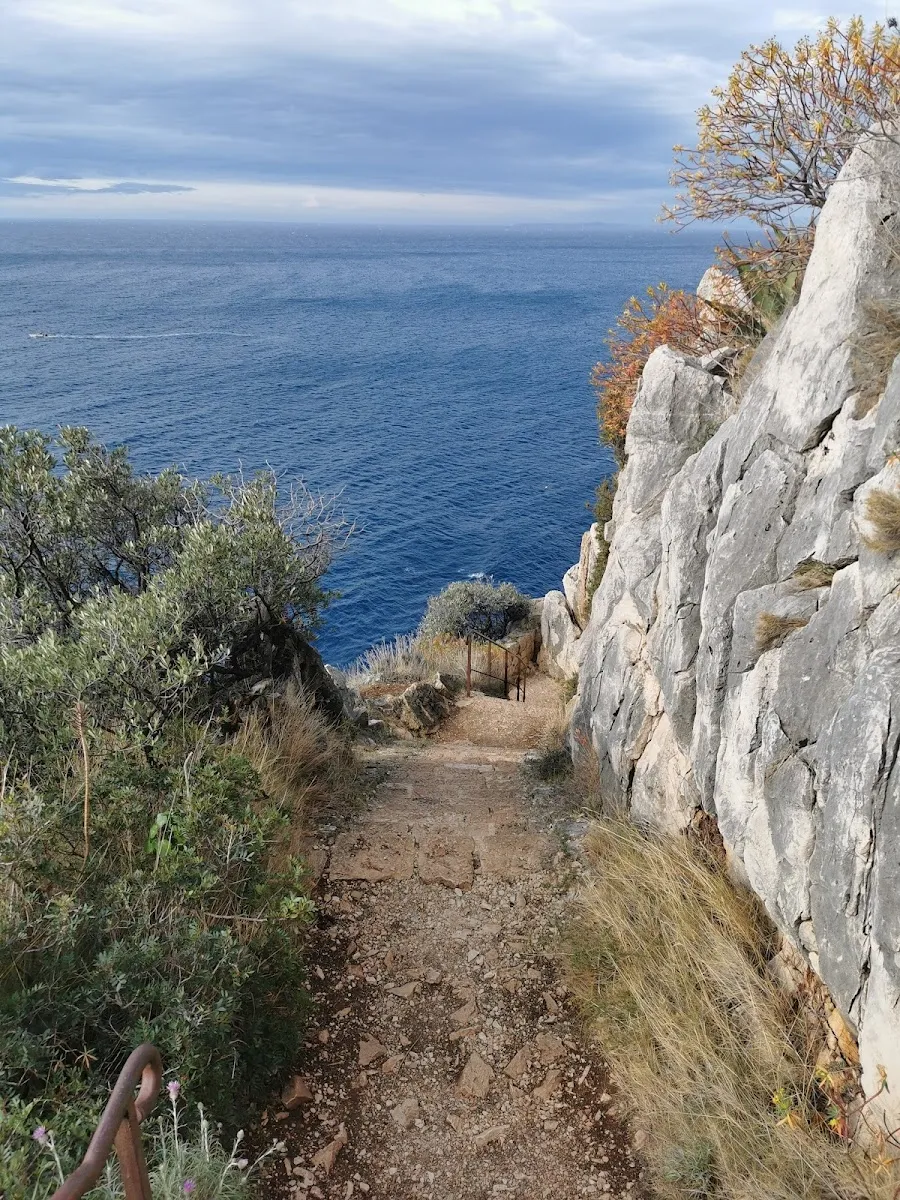 Vestiges Bunker Français
