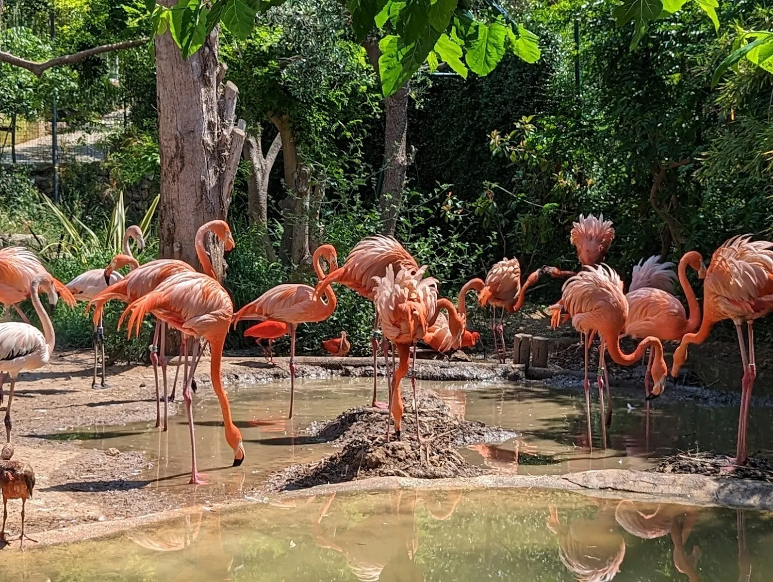 Zoa Parc — photo 1