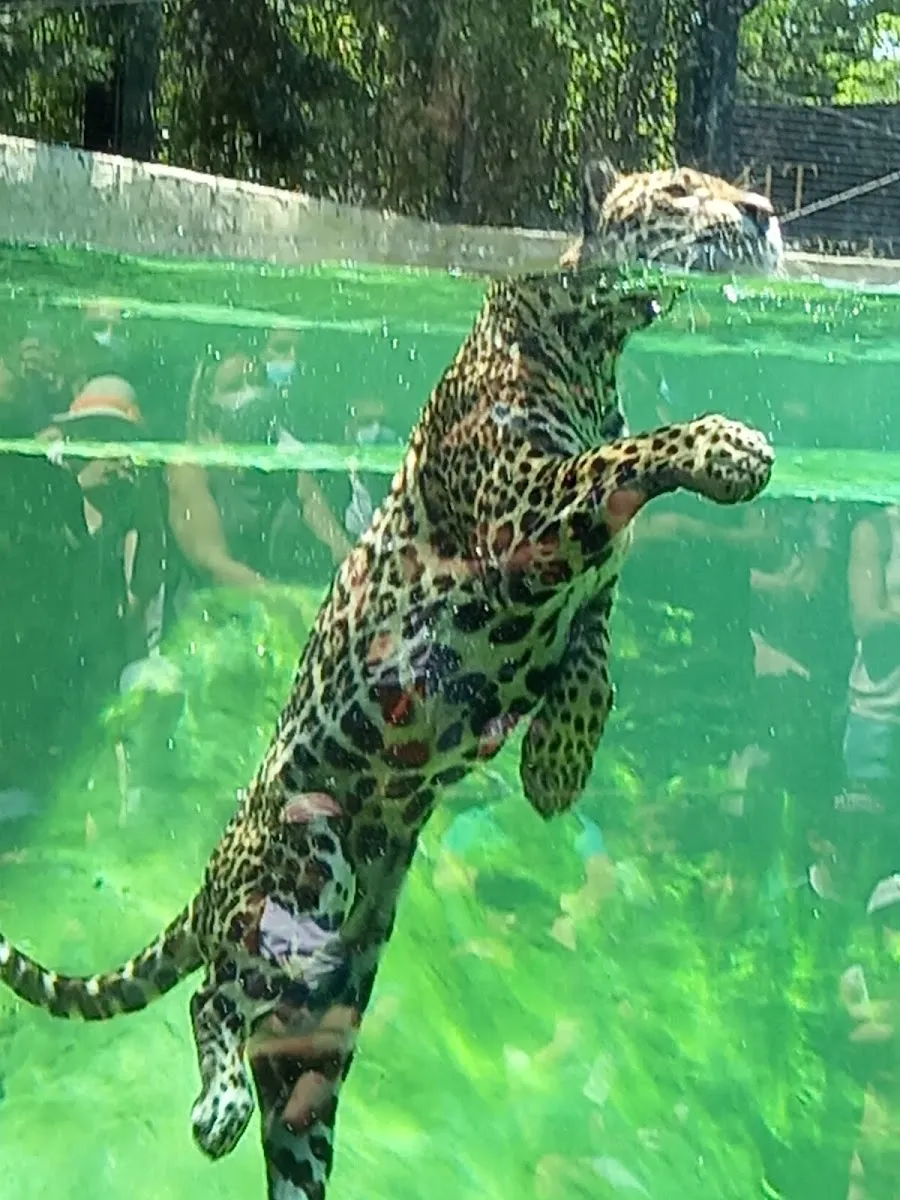 Zoo De Bordeaux-Pessac