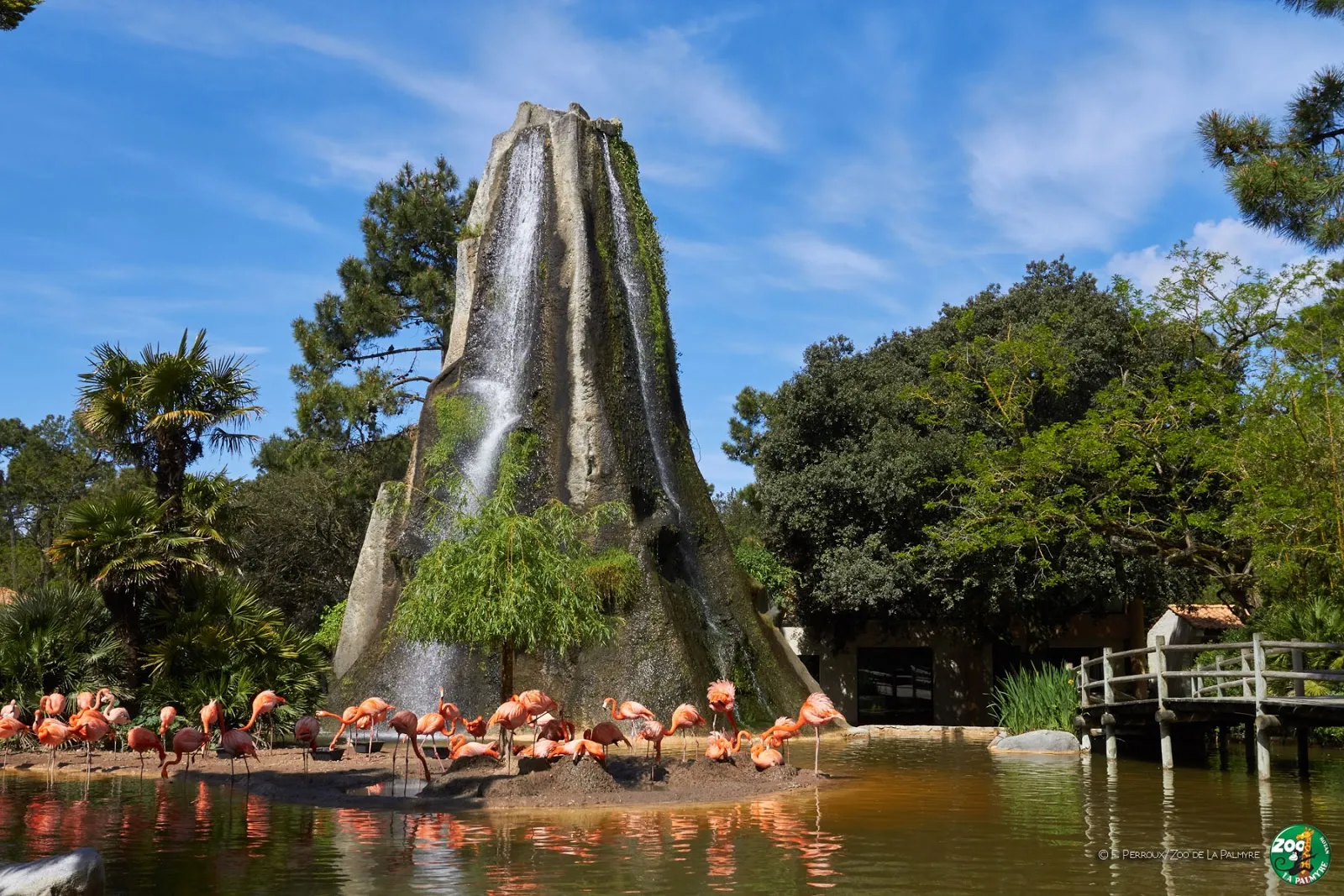 Zoo De la Palmyre — photo 1