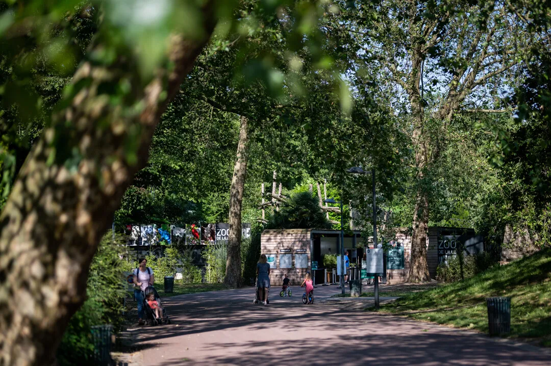Zoo De Lille — photo 1