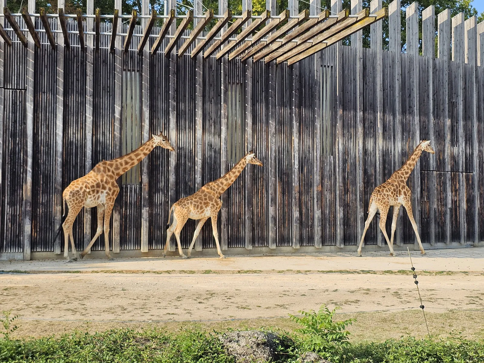 Zoo De Lyon — photo 1