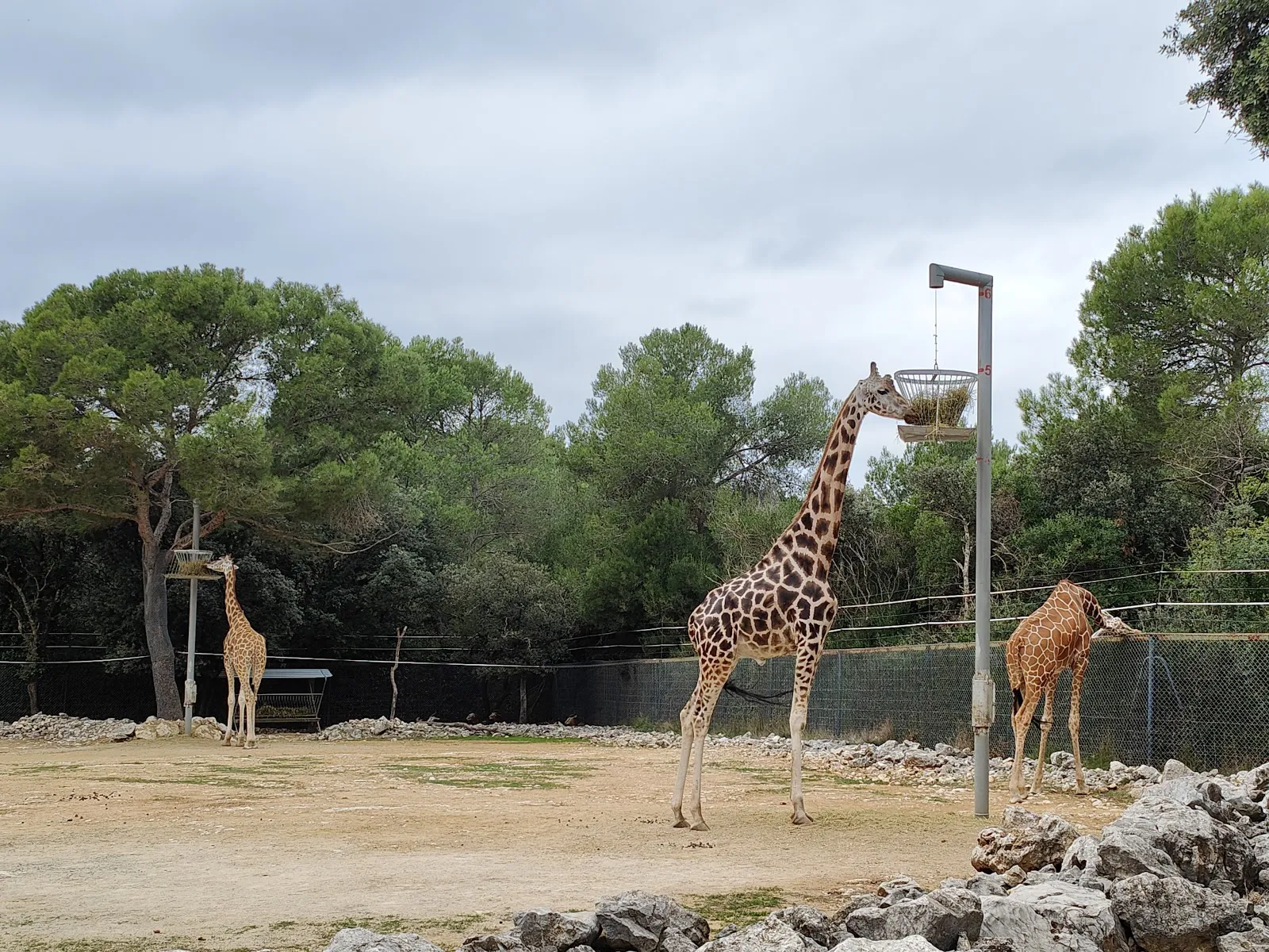 Zoo De Montpellier