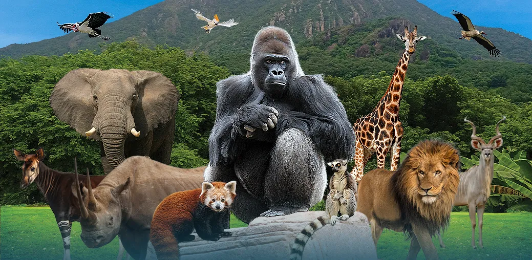 Zoo Du Bassin D'Arcachon — photo 1