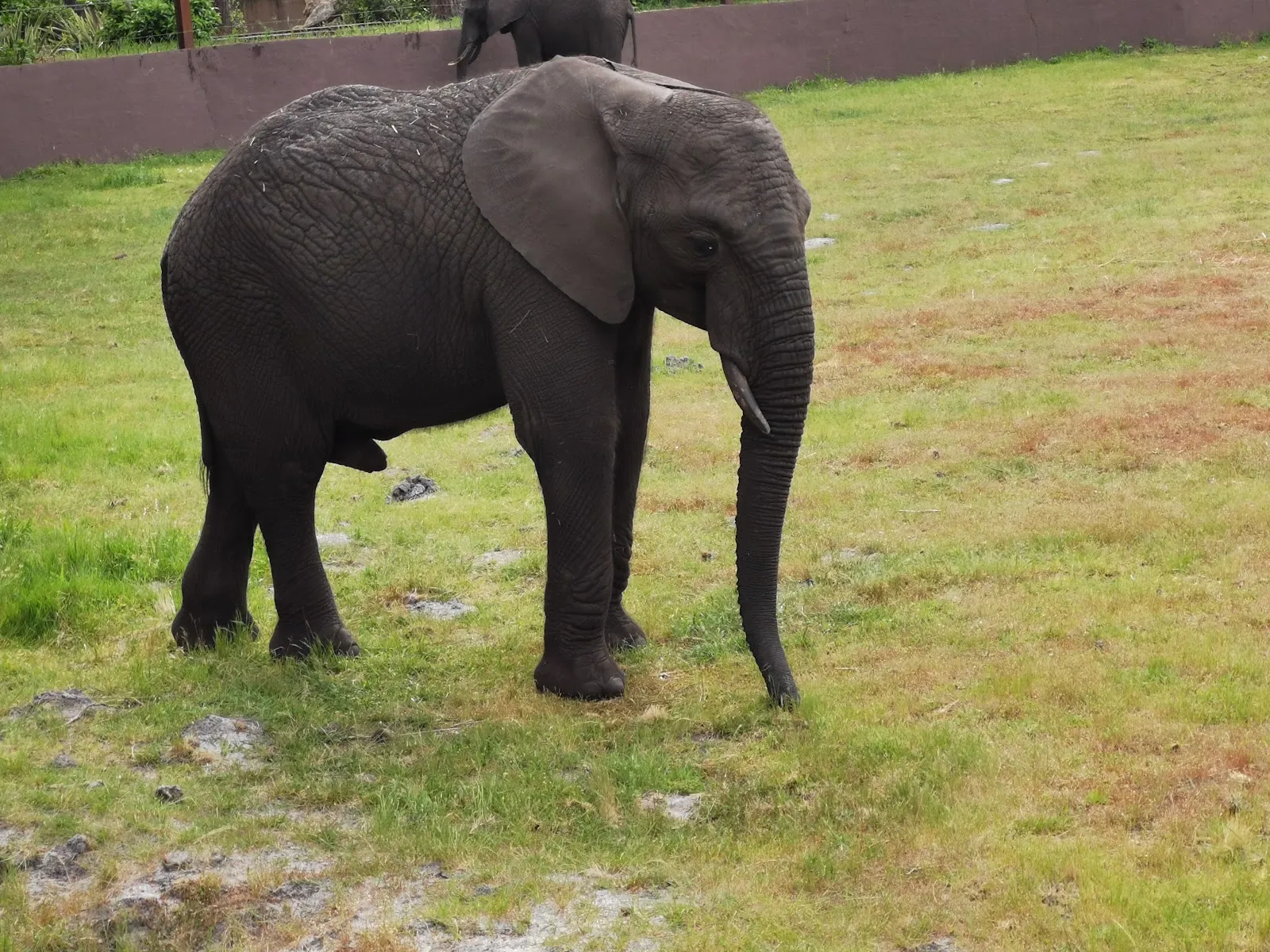 Zoo Du Bassin D'Arcachon