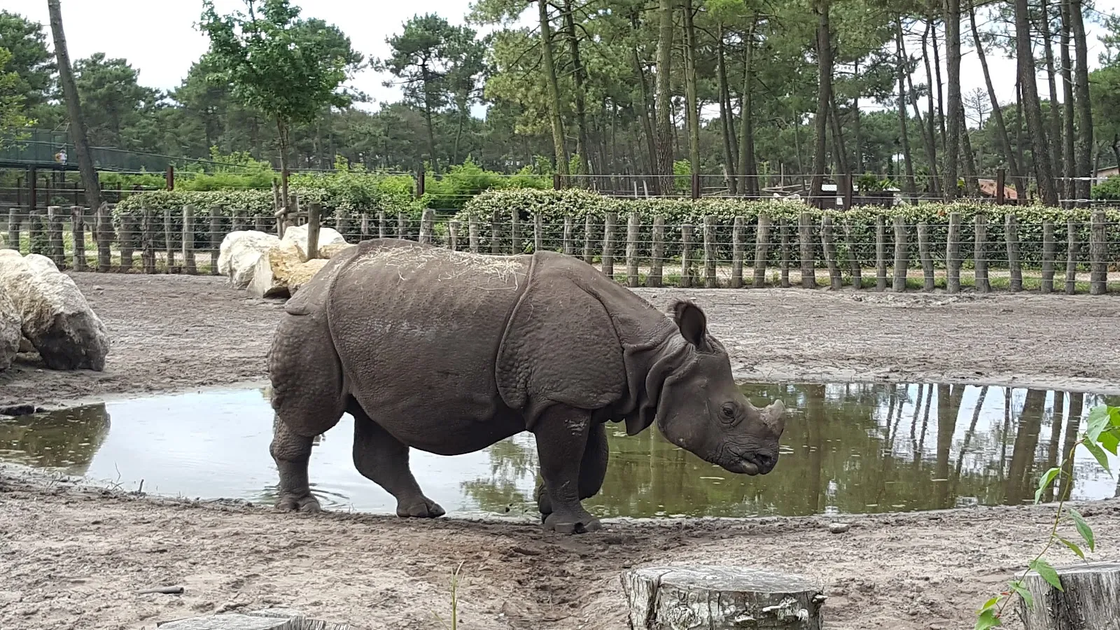Zoo Du Bassin D'Arcachon