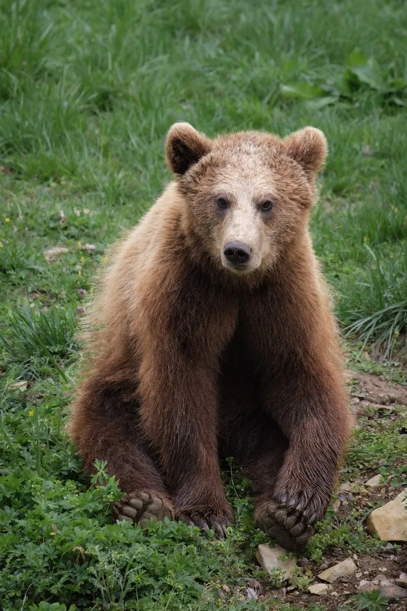 Zoodyssée — photo 1