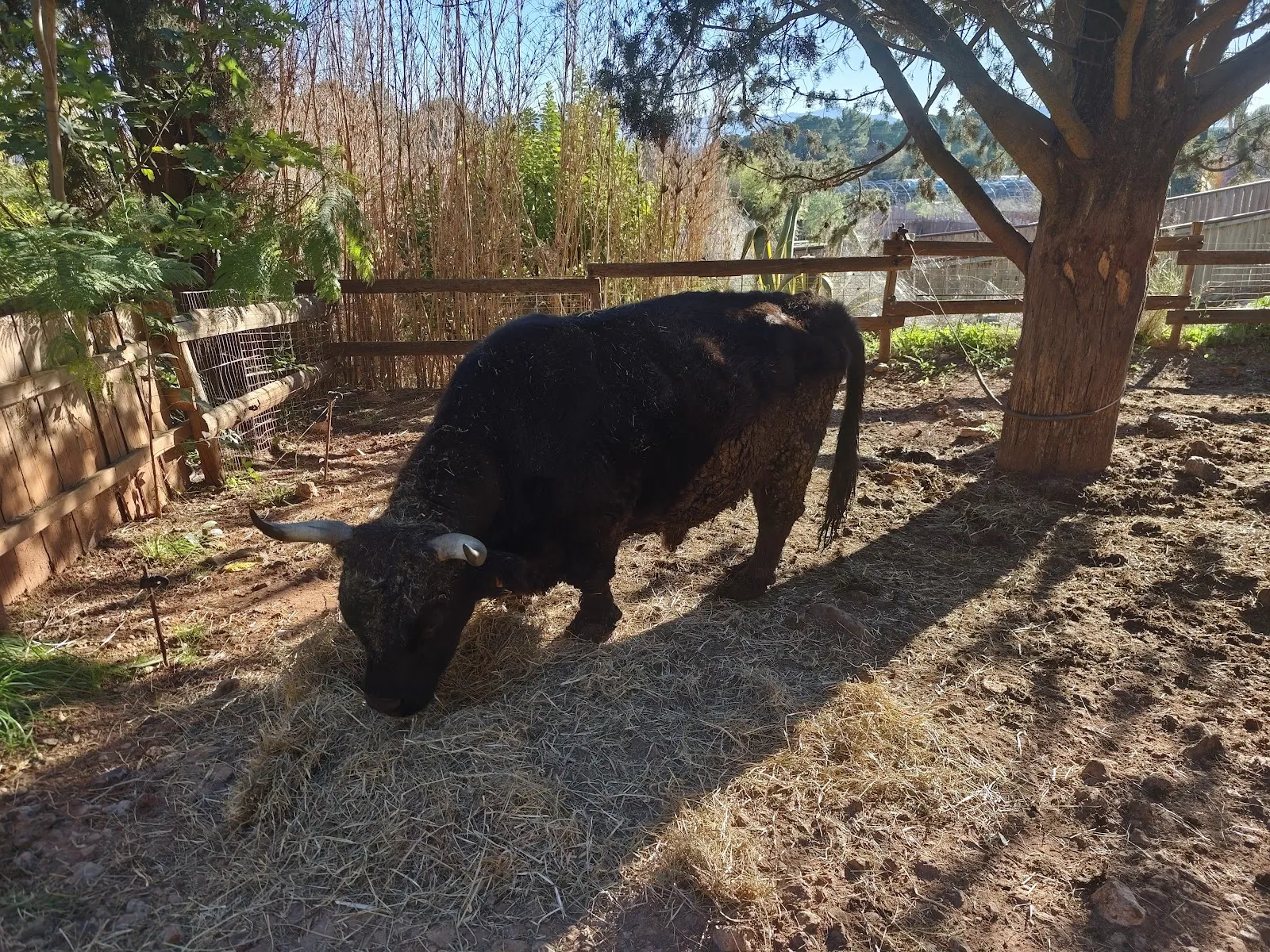 Zooparc Du Cannet Des Maures — photo 1
