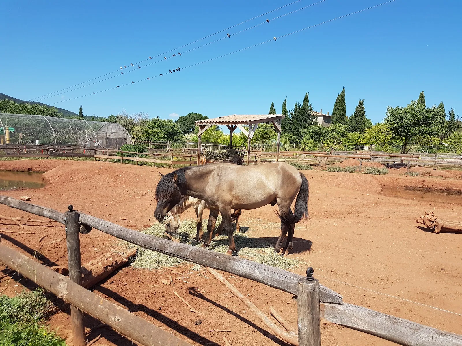 Zooparc Du Cannet Des Maures