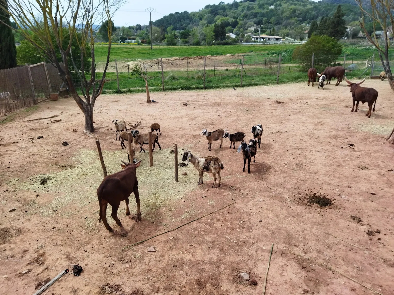 Zooparc Du Cannet Des Maures